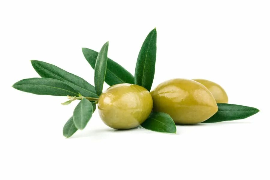 Греческие маслины. Греческие оливки. 2 brother оливки. Greek olive. Греческие оливки.