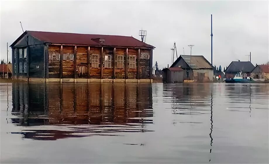 Село Гайны Пермский край. Кебраты Гайнский район Пермский край. Поселок Бондюг Пермский край. Население в Гайнах Пермский край.