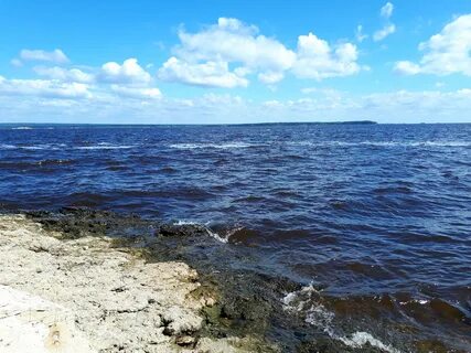 Море мор казань