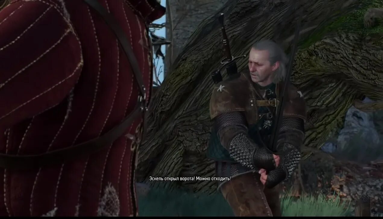 ведьмак 3 ламберт и весемир мертвые. смерть весемира в ведьмаке. весемир ведьмак нетфликс. король весемир ведьмак. весемир ведьмак 3.