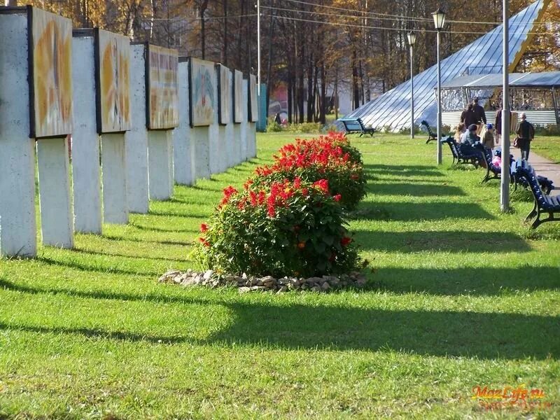 Можгинский питомник