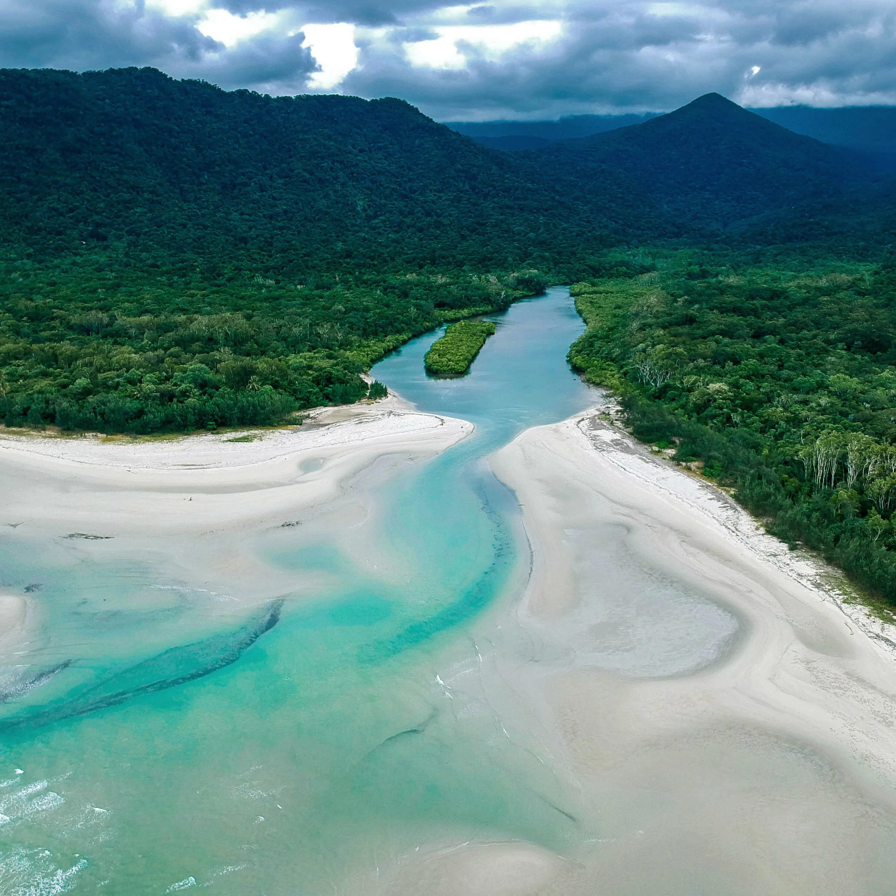 Национальный парк Дейнтри. Парк Дейнтри в Австралии. Daintree Rainforest Австралия. Тропический лес Дейнтри.