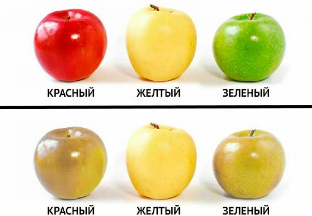 Цвета у дальтоников как выглядят Ответы : В тесте на дальтонизм вижу несколько цифр