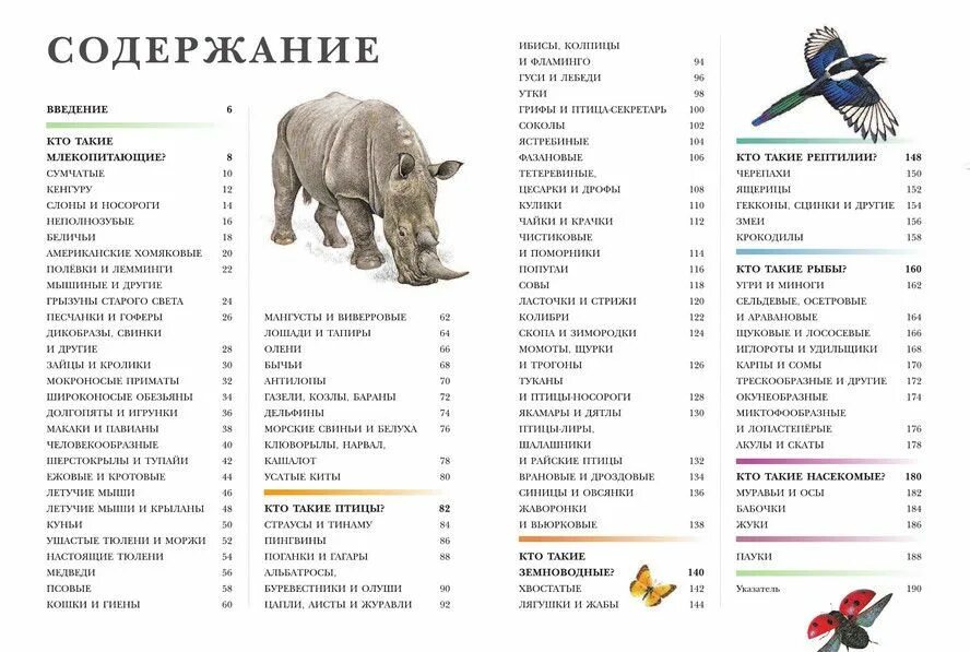 Содержание изображений. Содержание энциклопедии. Энциклопедия для детей содержание. Энциклопедия оглавление. Содержание книги о животных.
