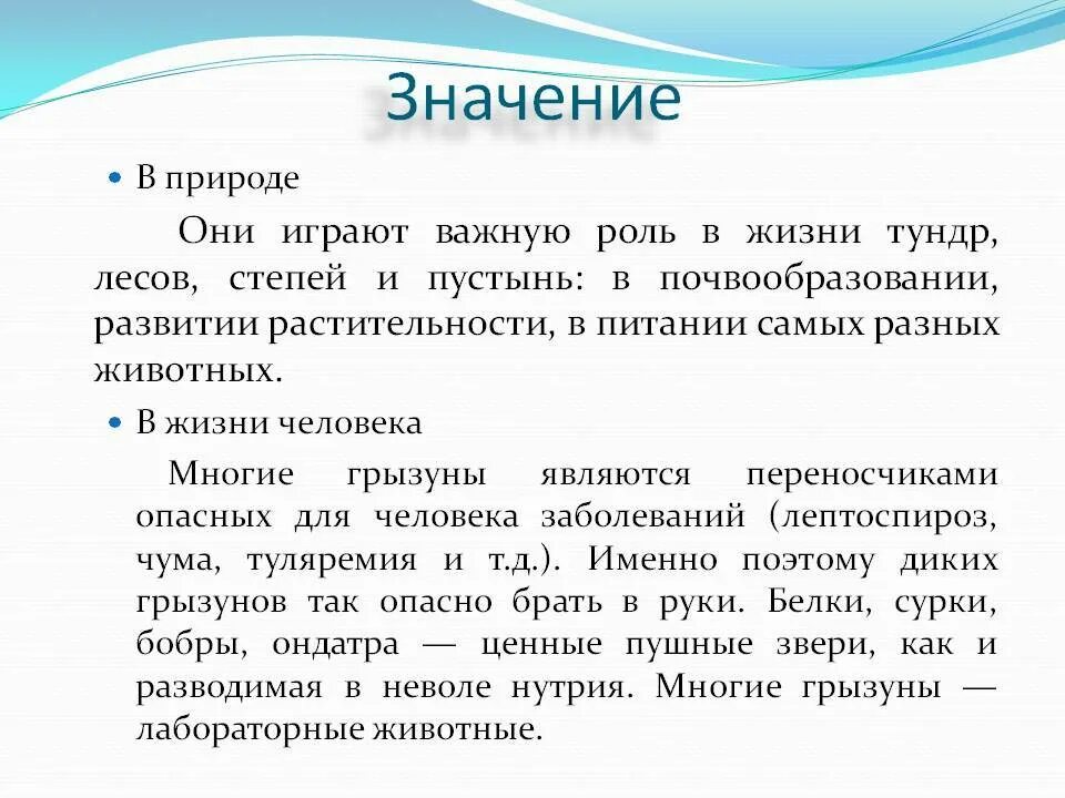 Роль грызунов в жизни человека. Роль грызунов в природе. Грызуны значение в жизни человека. Грызуны значение в природе. Значение грызунов в жизни человека.