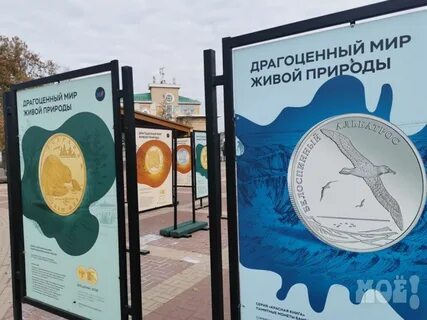 Благородный мир