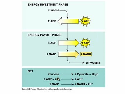 Input energy