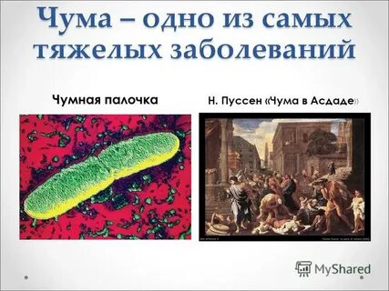 Чума 1