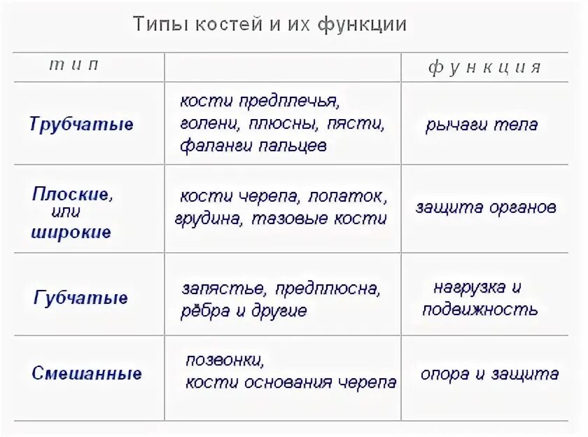 Заполнить таблицу виды костей. Типы костей и их функции таблица. таблица типы костей биология 8. виды костей строение и функция. трубчатые губчатые плоские кости таблица.