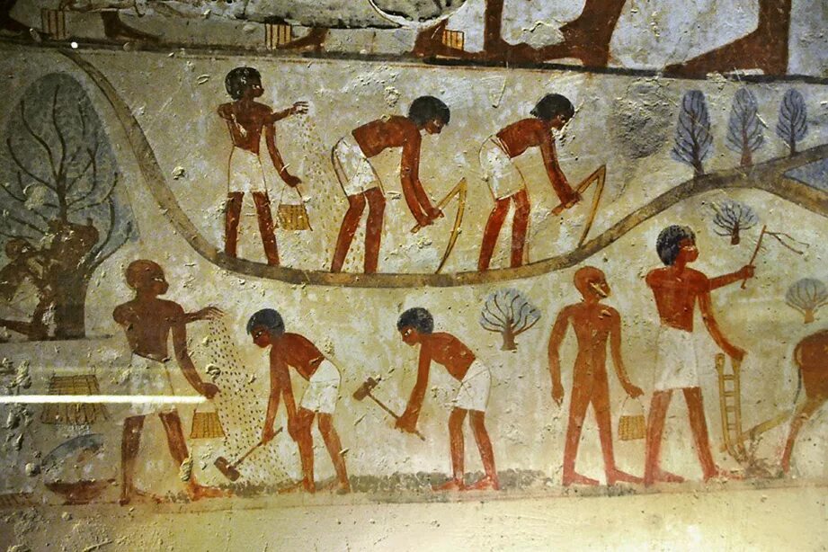 Как выглядели крестьяне в древнем египте The Vintage of 1400 BCE Life in ancient egypt, Ancient egypt art, Ancient egypt