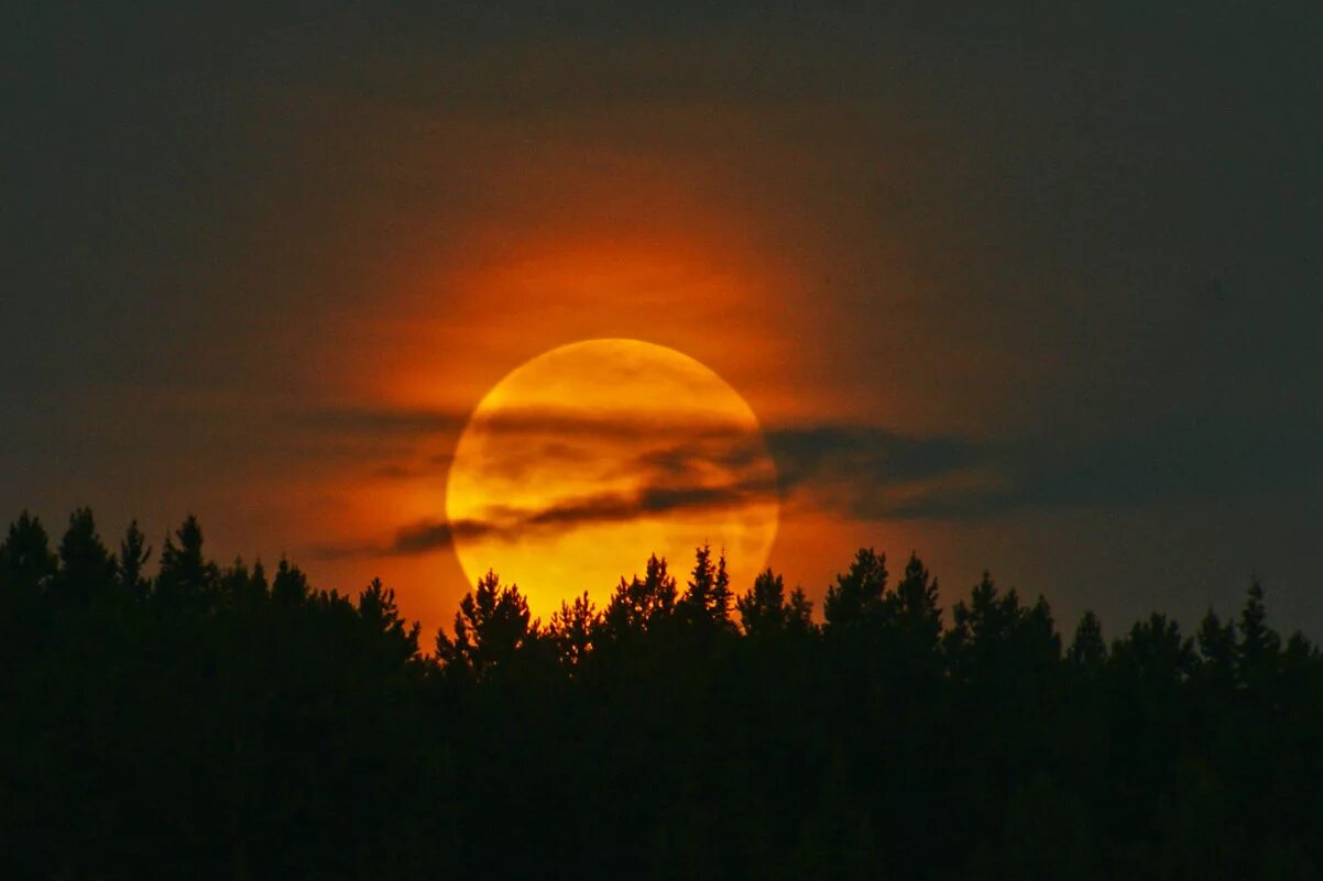 Восход луны и будущее пламя. Луна на закате. Полнолунье закат. Лунный рассвет. Восход Луны.