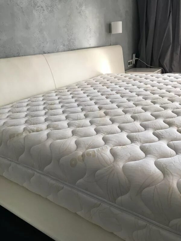 атланта новосибирск. атланта сервисное оборудование. атланта вода новосибирск. ветклиника на советской.