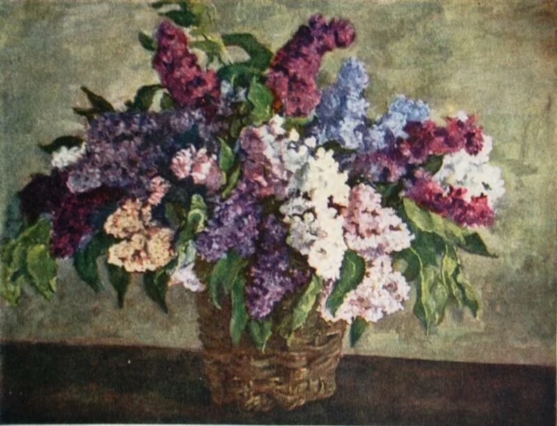 Кончаловский «сирень в корзине» (1933 г. Кончаловский «сирень в корзине» (1933 г. ). Кончаловский сирень. Кончаловский художник сирень в корзине.