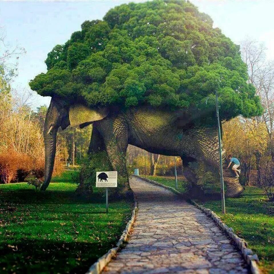 Необыкновенное рядом. Необыкновенное рядом