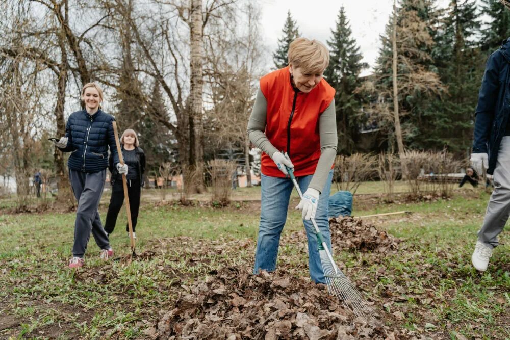 Субботник в ДК Сахарово. Субботник картинки.