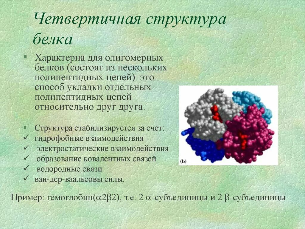 Характерные изменения белков. Четвертичная структура белка. Четвертичная структура белка это структура. Четвертичная структура белков. Белки с четвертичной структурой.