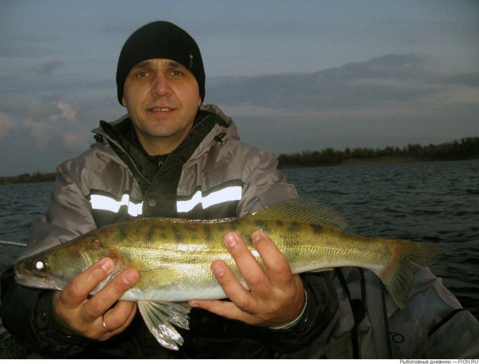 Рыбалка в окрестностях волгоградской. Рыбалка в волгограде. Рыбалка в окрестностях волгограда. Рыбалка в волгограде. Рыбы и рыбалка.