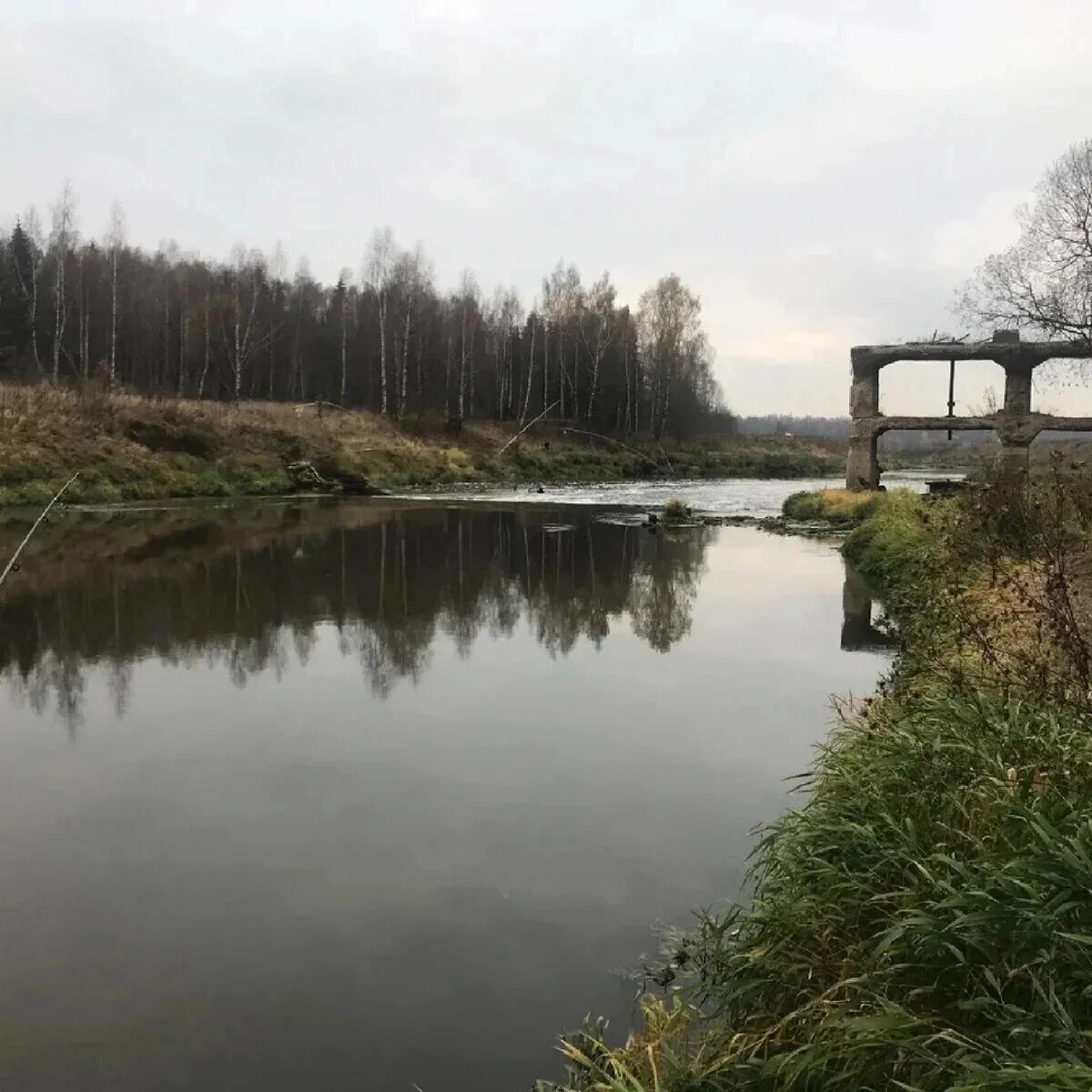 Город на реке сестра. Река сестра Клин. Клин Московская область река сестра. Дутшево Дмитровский район. Река сестра Дутшево.