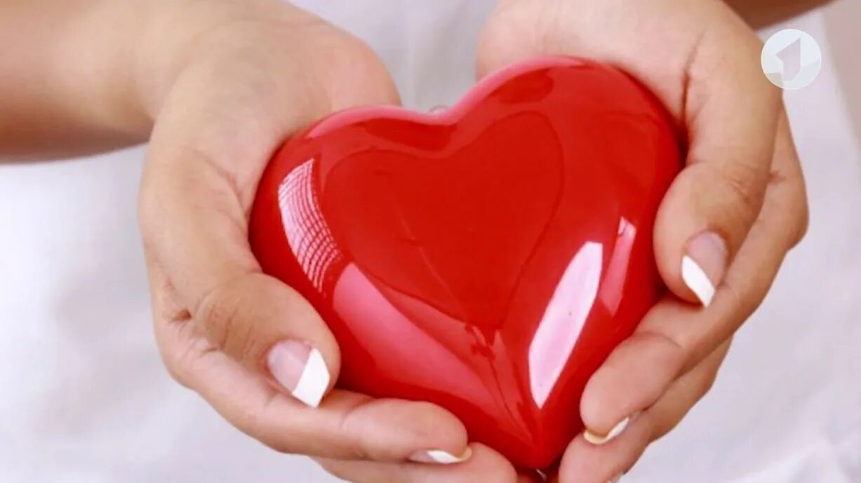Сердце делай добро. Сердце. Сердце в руках. Здоровое сердце. Здоровое сердце в руках.