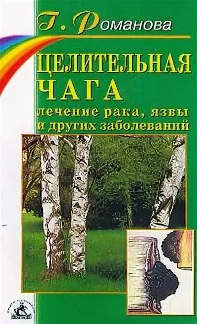 Чага березовая при лечении онкологии