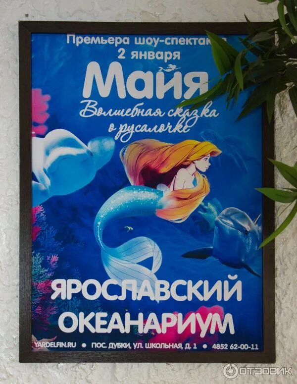 У нас что ни новость, то очень важная ☝ Обратите внимание: с 23 января по 1 февр