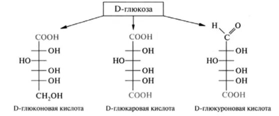 D глюкаровая кислота формула. Образование глюконовой кислоты из Глюкозы. Окисление Глюкозы до глюконовой кислоты. Глюкоза глюконовая кислота реакция