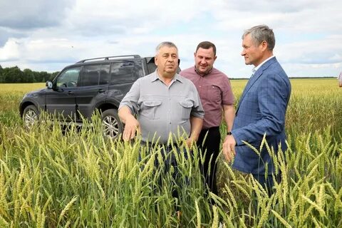 Курганская область хозяйство