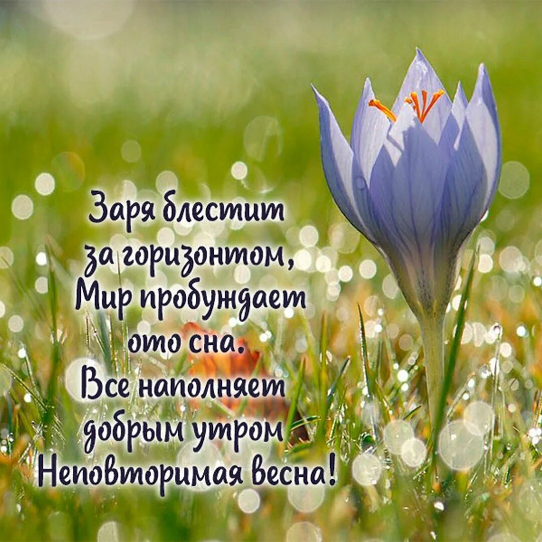 Доброе утро весеннего воскресенья картинки с пожеланиями. Открытки с добрым воскресным утром. открытки с добрым утром весенние. с добрым весенним утречком воскресенья. открытки с добрым утром воскресенья весенние.