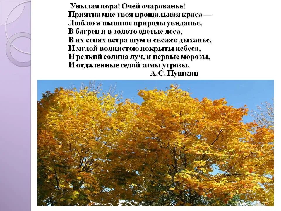 Люблю я пышное природы увядание вид сказуемого. Высказывание писателей об осени. Люблю я пышное природы увядание вид сказуемого. Люблю я пышное природы увядание вид сказуемого. Люблю я пышное природы увядание вид сказуемого.