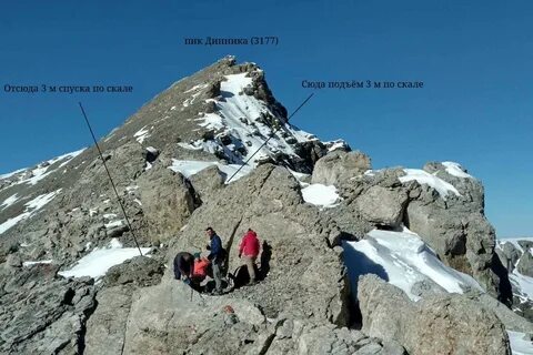 Форум пику