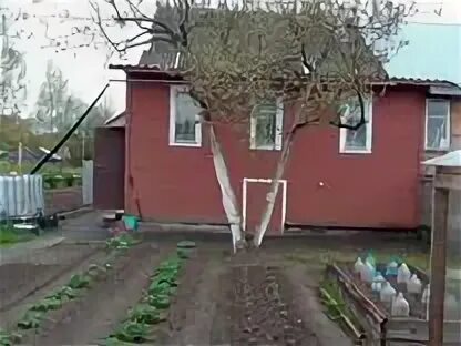 Кривячка костромская область. Авито шарья квартиры ветлужский. Недвижимость в шарье. Авито шарья квартиры ветлужский. Авито шарья недвижимость квартиры.