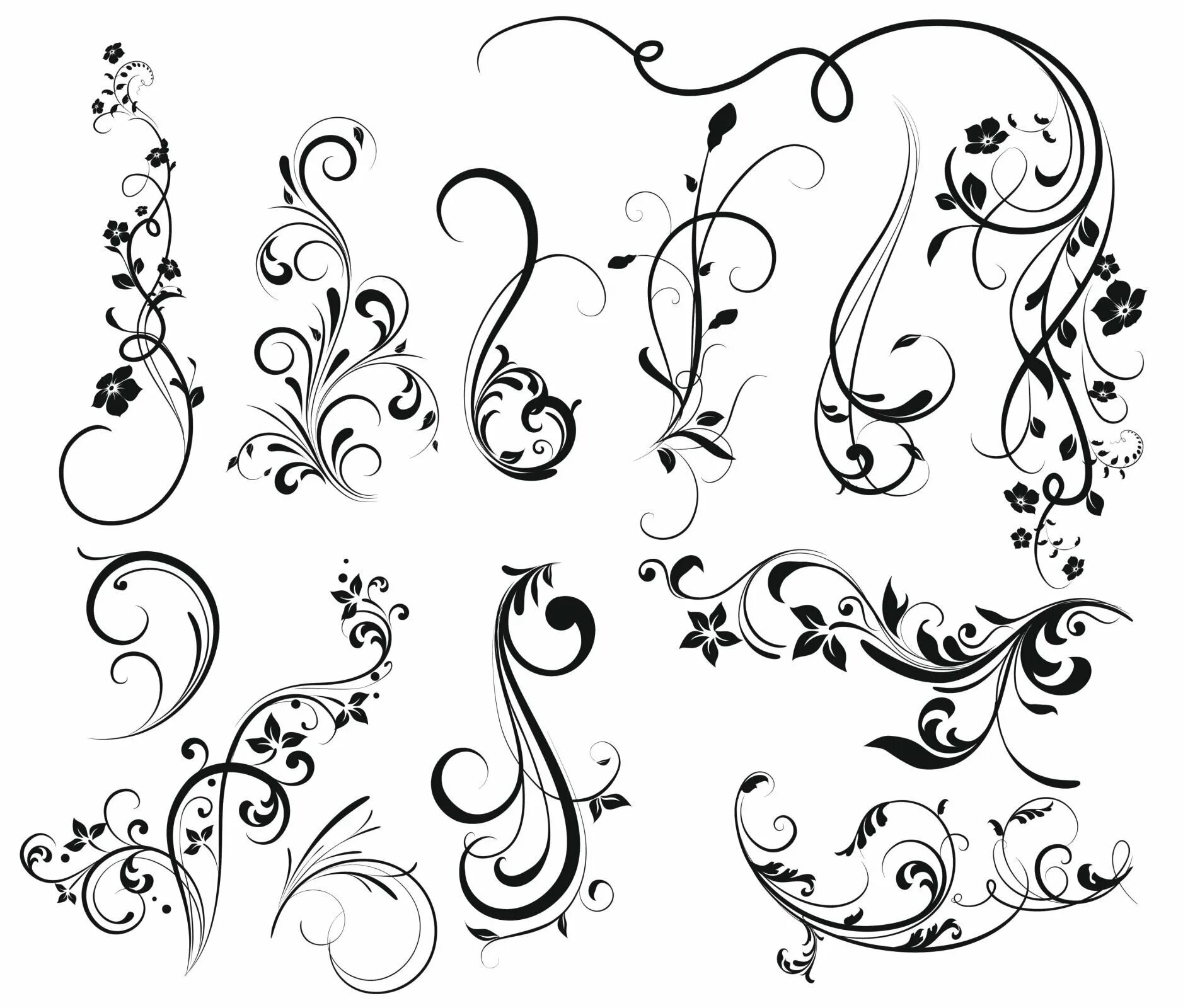 Вензель. Вензеля. Узор ветка. Растительный узор. Тончайший узор.