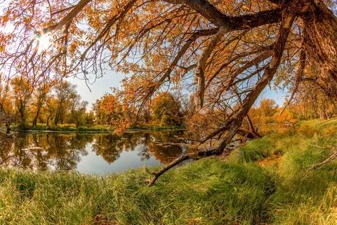 Золотая осень на дону