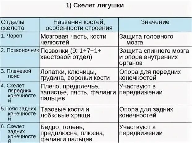 Строение отделов скелета таблица. Строение скелета птиц таблица 7 класс биология. Отдел скелета название костей таблица. Отдел скелета особенности строения функции таблица. Таблица особенности скелета птиц