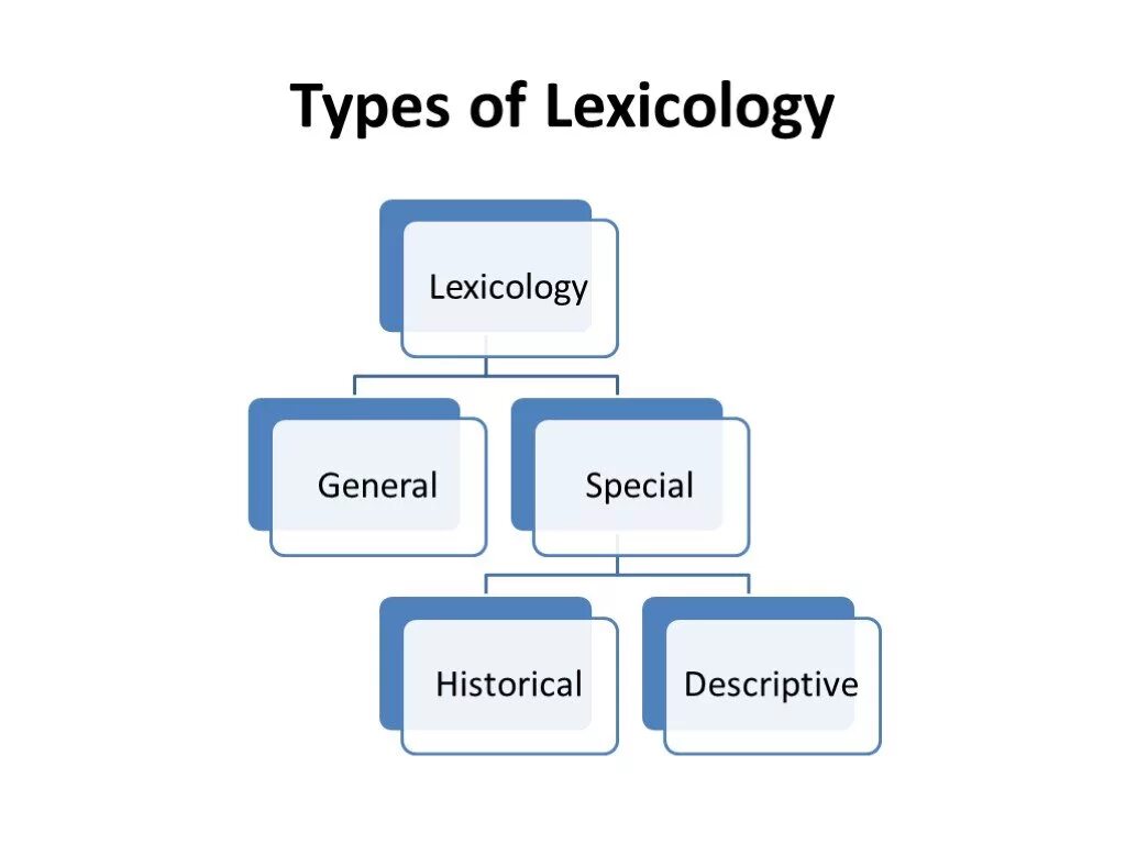 Types of Lexicology. Types of Lexicology презентация. Branches of Lexicology. English Lexicology.