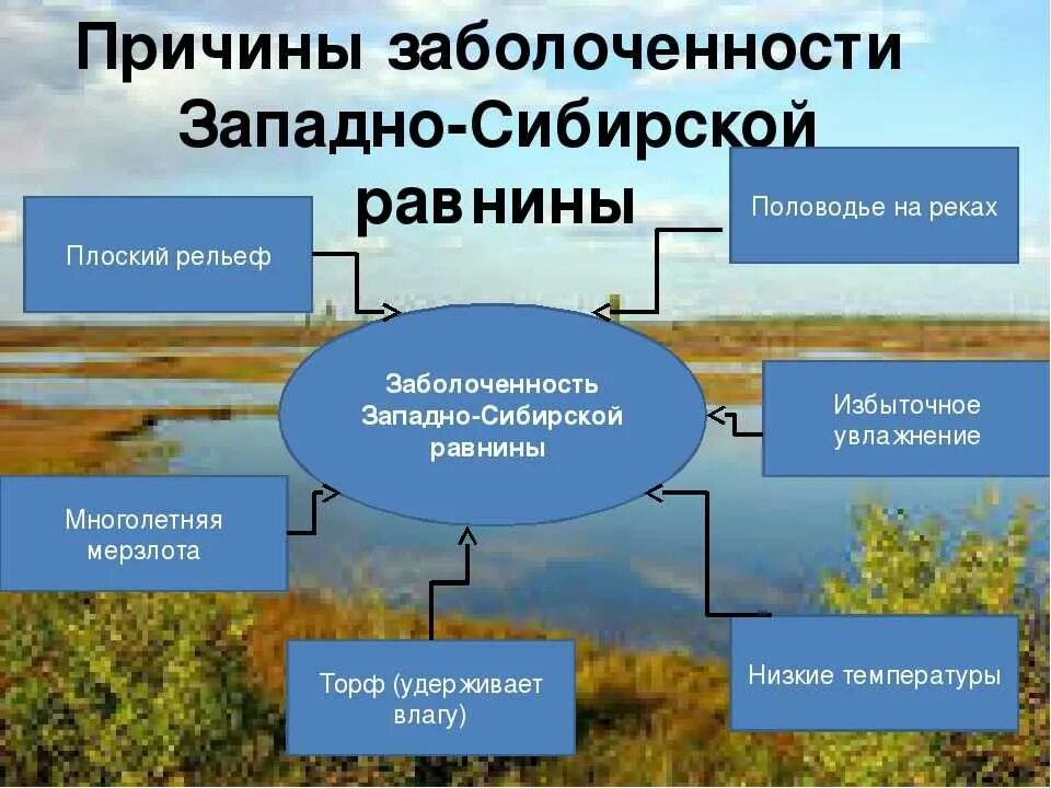 Что является причиной сильного. Экологические проблемы Западной СБИ. Экологическая ситуация Западно сибирской равнины. Причины заболоченности Западной Сибири равнины. Экологические проблемы Западно сибирской.