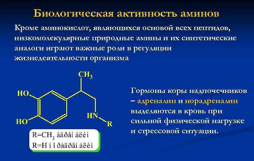 Биологическая активность аминокислот. Биологическое значение аминокислот. Медико-биологическое значение аминокислот. Производные Аминов. Биологическая активность соединений