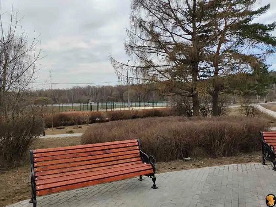Парки сзао. Парки сзао