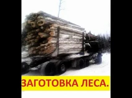 Видео заготовка