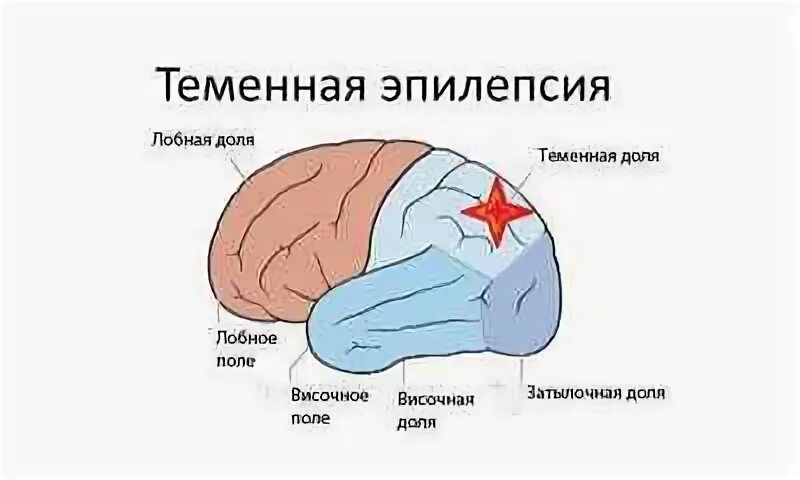 Мен долей