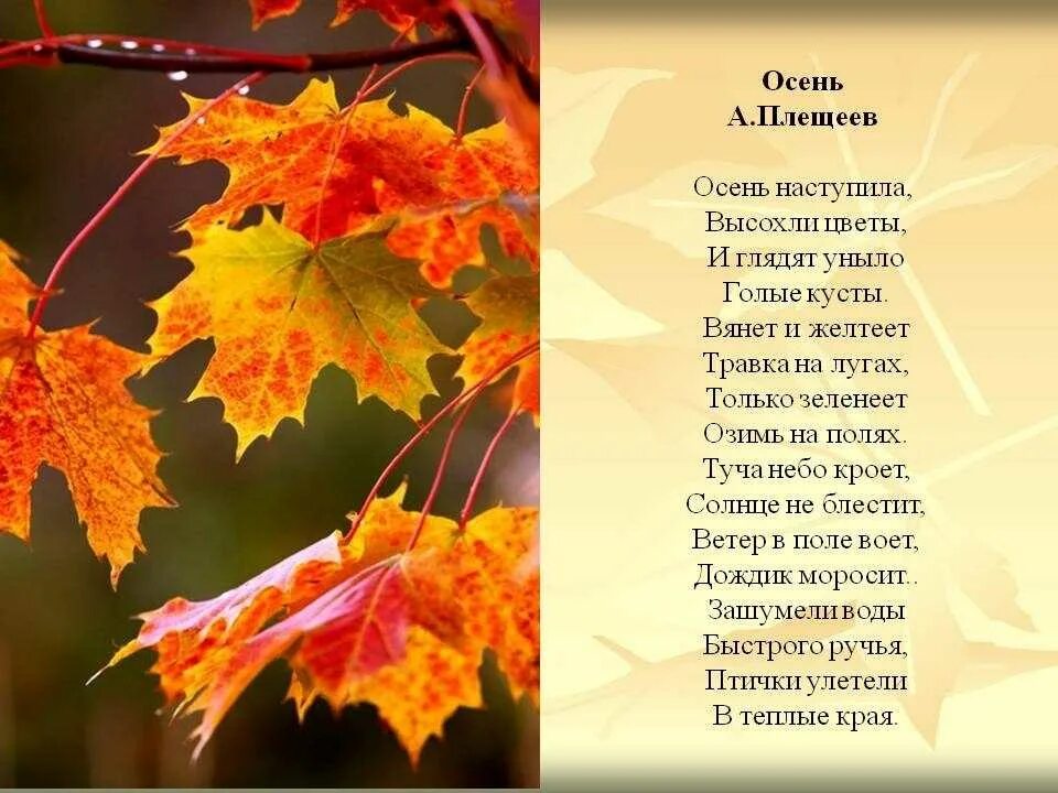 Осенние стихи. Стихотворение про осень. Стих на тему осень. Стихи про осень красивые