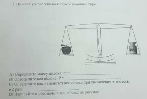 На весах уравновешены две закрытые пробками