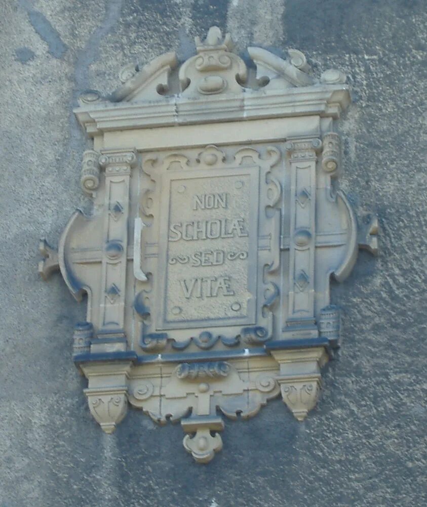 Vitae non scholae discimus. Non scholae sed vitae. non scholæ sed vitæ discimus. non scholae sed vitae discimus hse. non scholae sed vitae discimus вшэ шоппер.