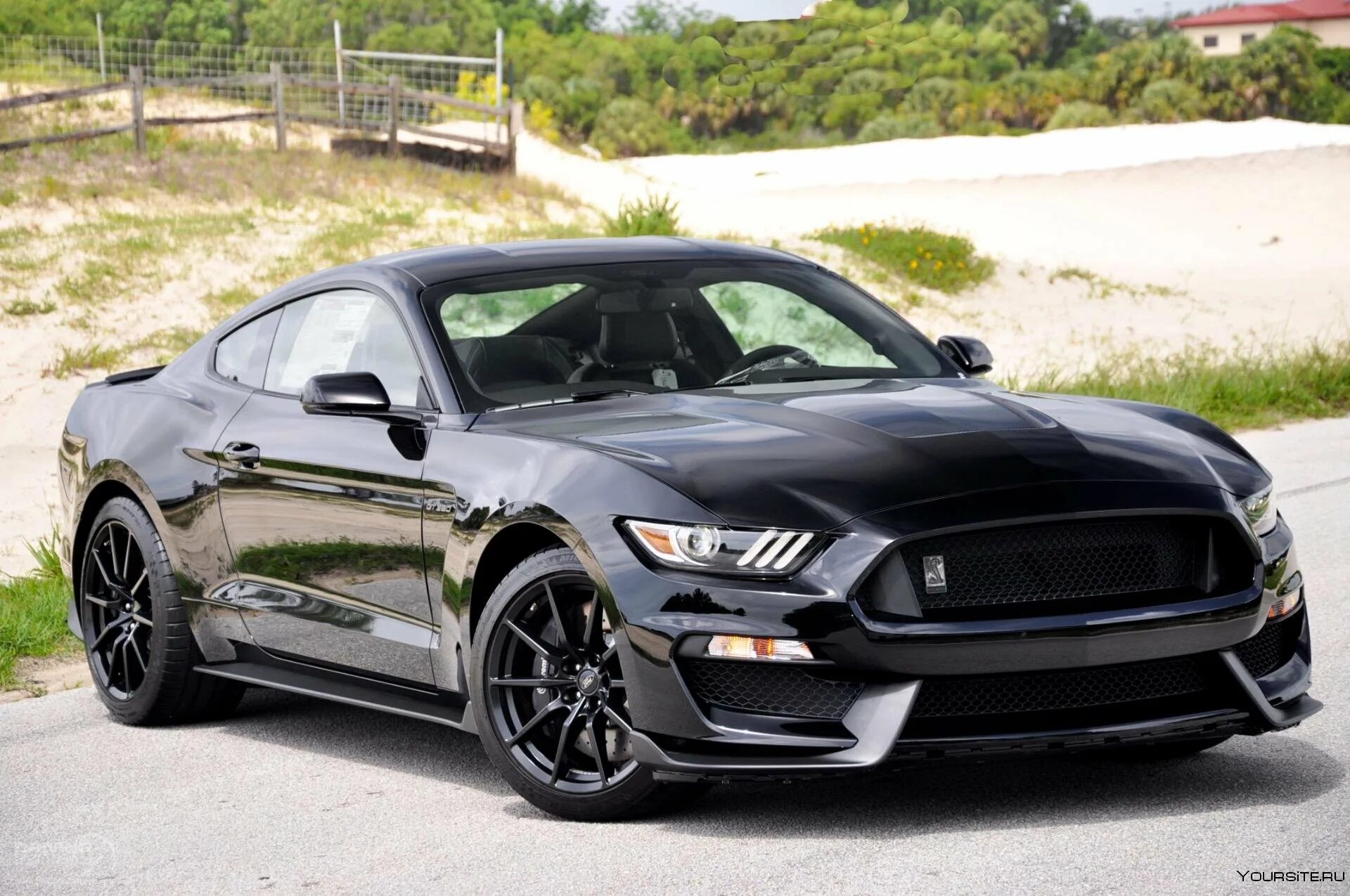 Ford mustang gt 2025. Ford mustang shelby gt350. форд мустанг 2025. форд мустанг гт 350.
