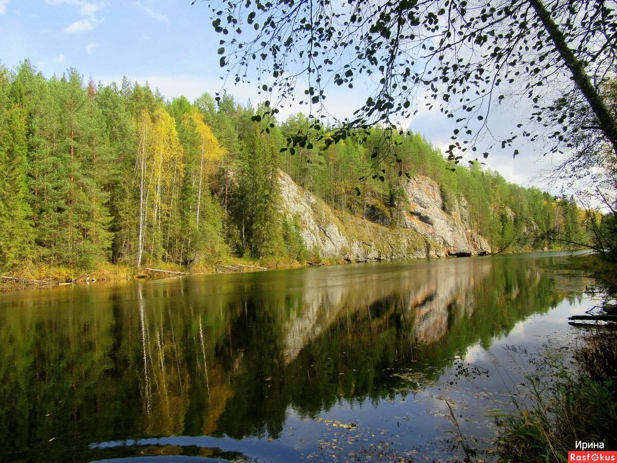 Река сосьва. Заповедник малая Сосьва. Северная Сосьва. Сосьва лес.