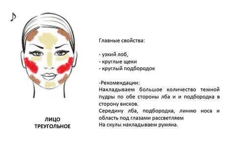 Почему щеки круглые