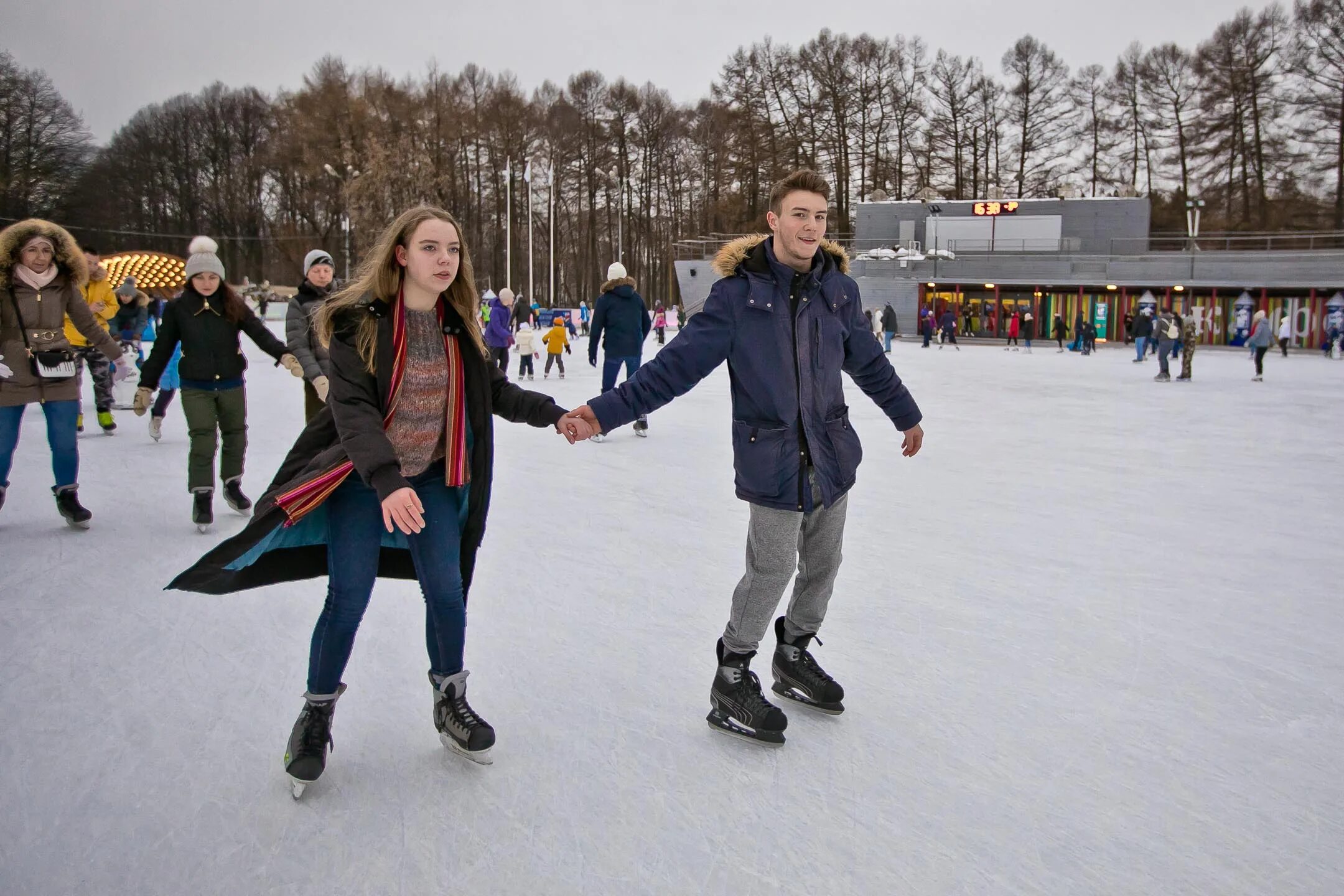 Какой каток в сокольниках. Каток «лёд» в парке Сокольники. Каток лед в Сокольниках. Парк Сокольники Майский просек. Парк Сокольники каток.