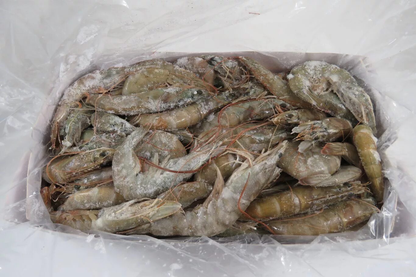 Королевские креветки свежк сороденые. Креветки королевские не очмщенные. Креветки ваннамей замороженные. Королевская креветка свежезамороженная. Креветки королевские не очмщенные.
