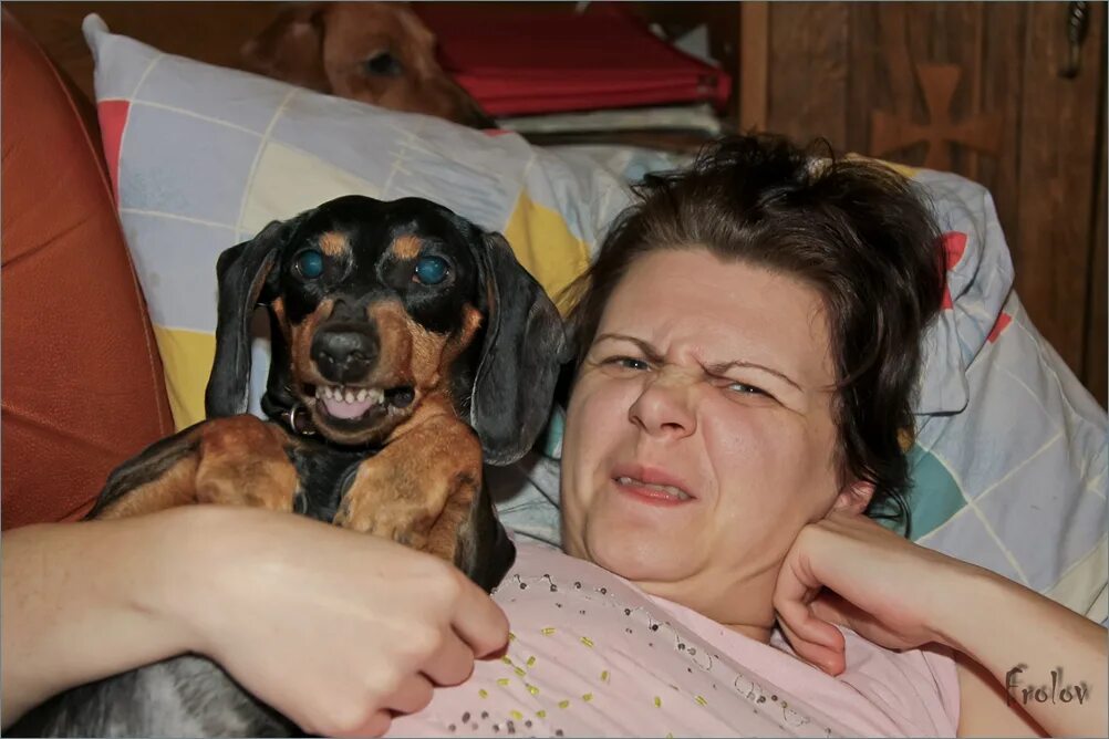 Husband dog wife. Собакожена. Тётя собака. Тётенька с собакой. Тетя собака злая.