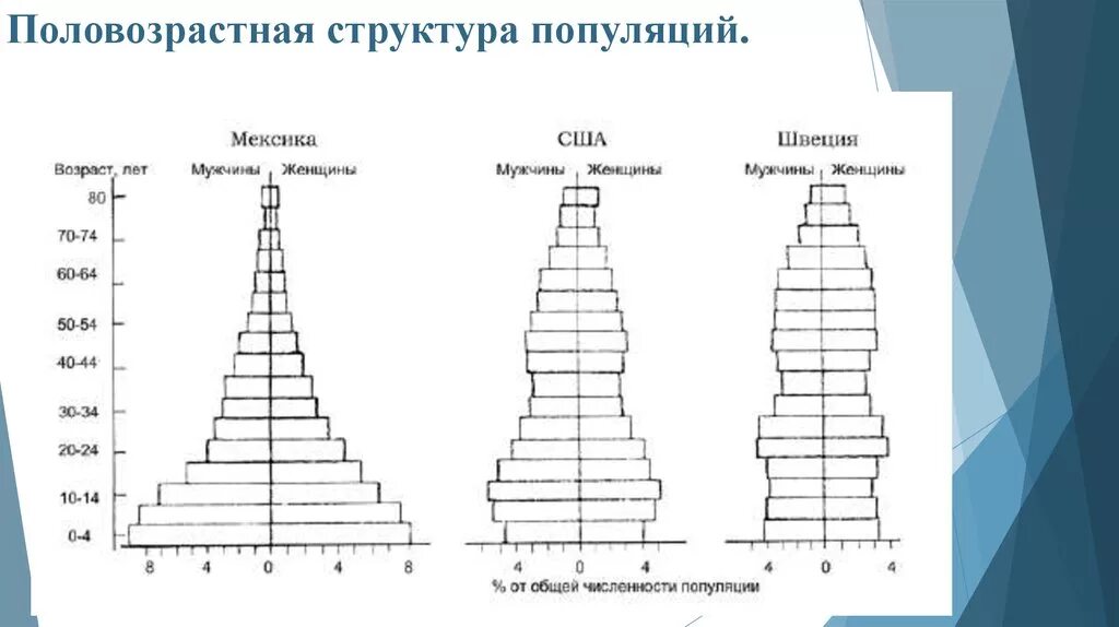 Возрастные пирамиды популяций экология. Возрастная пирамида растущей популяции. Половозрастная структура популяции. Возрастная пирамида биология. Характеристика популяций возрастная структура